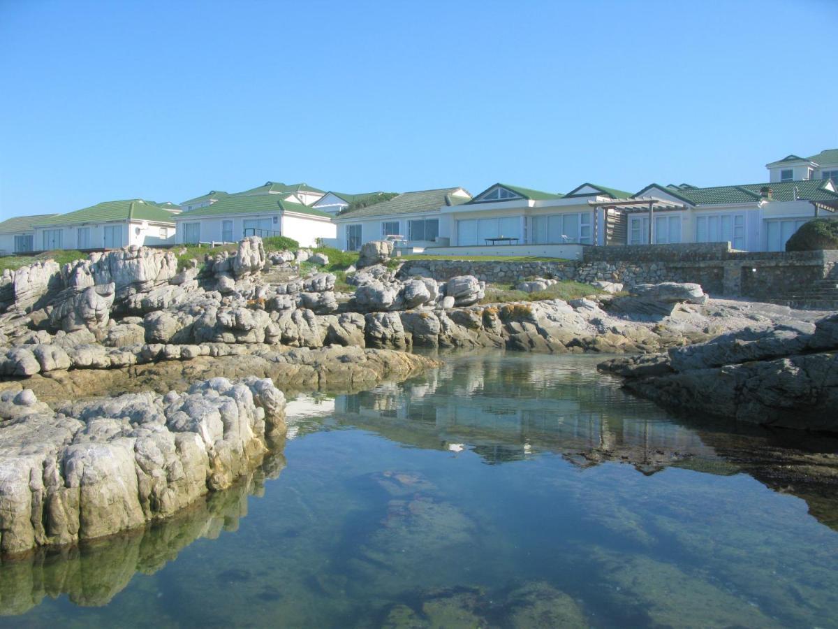 Beachfront House - Hermanus Whale View 빌라 외부 사진