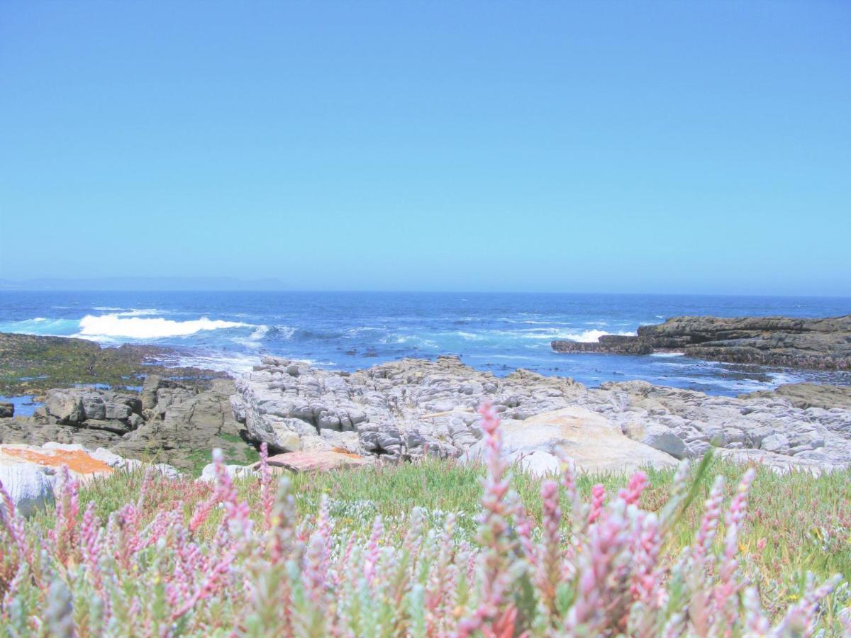 Beachfront House - Hermanus Whale View 빌라 외부 사진