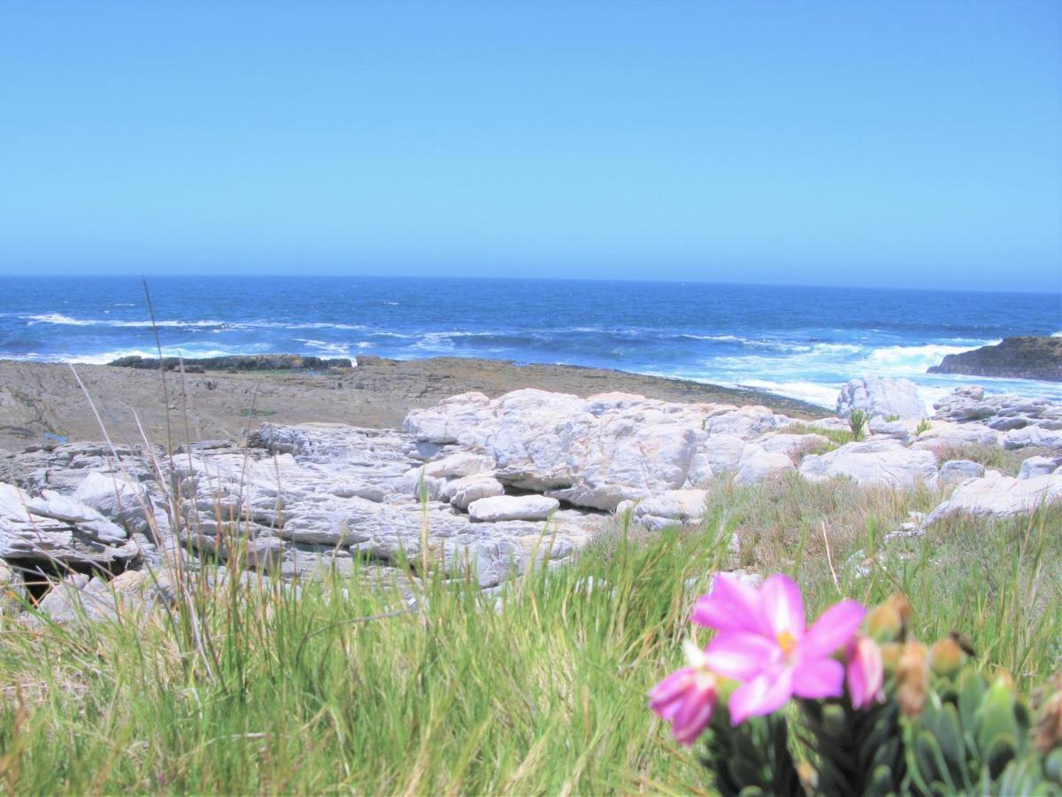 Beachfront House - Hermanus Whale View 빌라 외부 사진