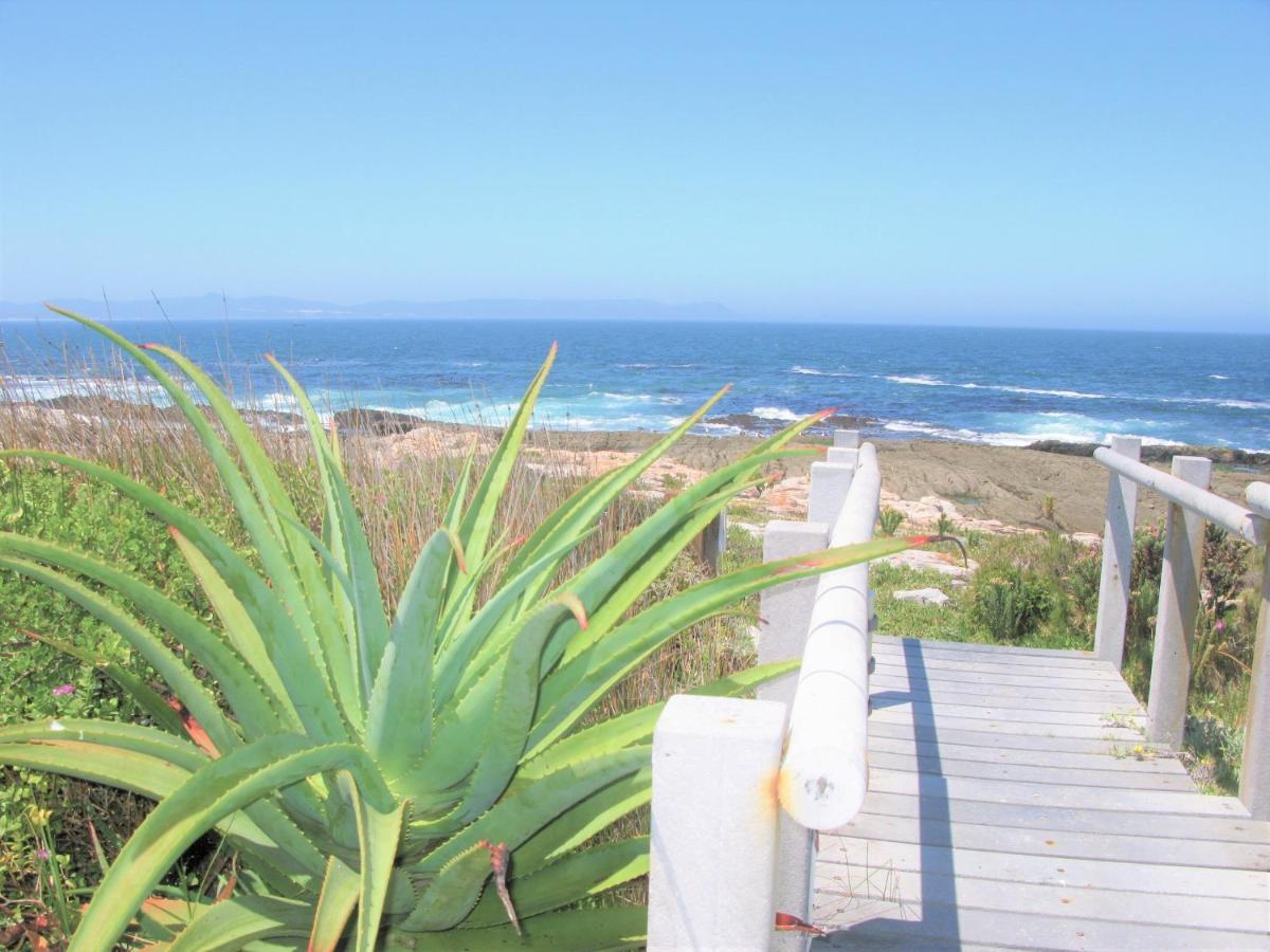 Beachfront House - Hermanus Whale View 빌라 외부 사진
