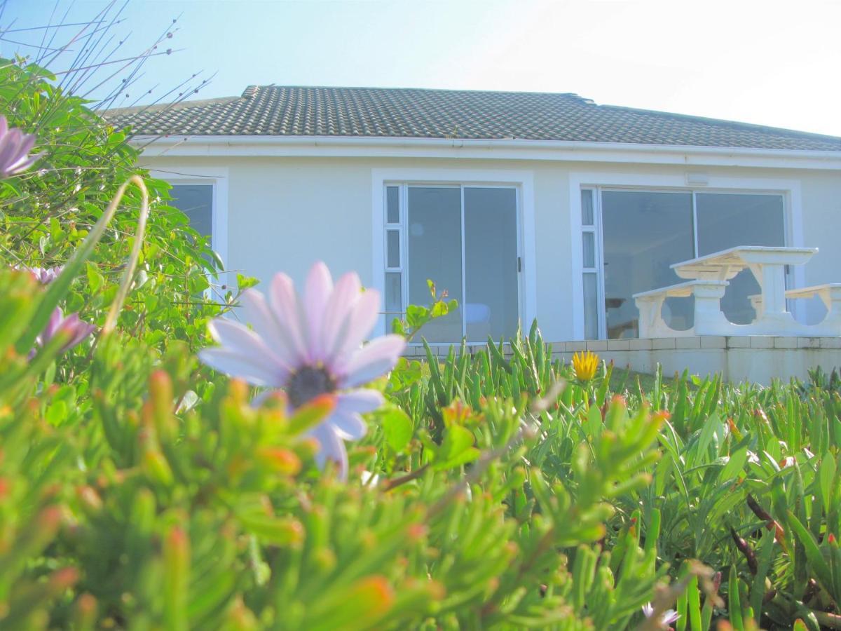 Beachfront House - Hermanus Whale View 빌라 외부 사진